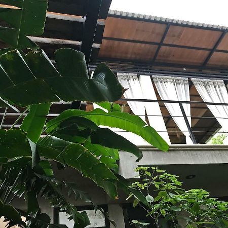 مبيت وإفطار فالادوليد La Flor Casa Boutique المظهر الخارجي الصورة